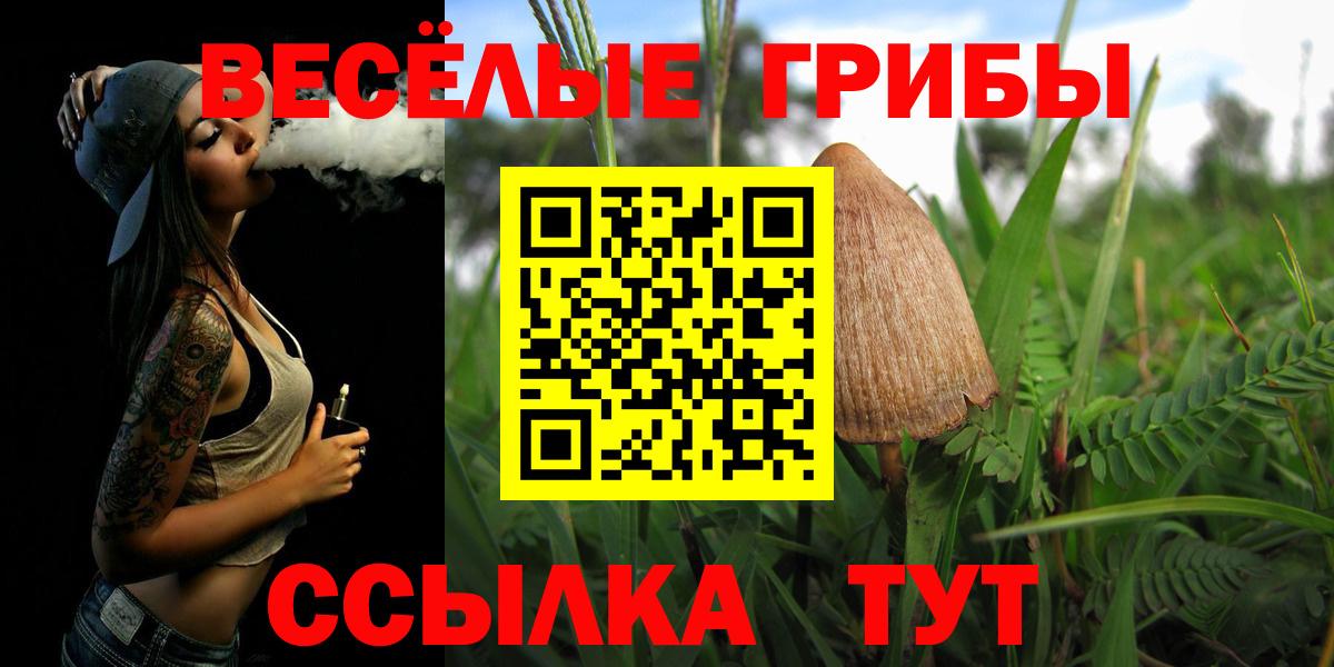 Галлюциногенные грибы мухоморы Торжок