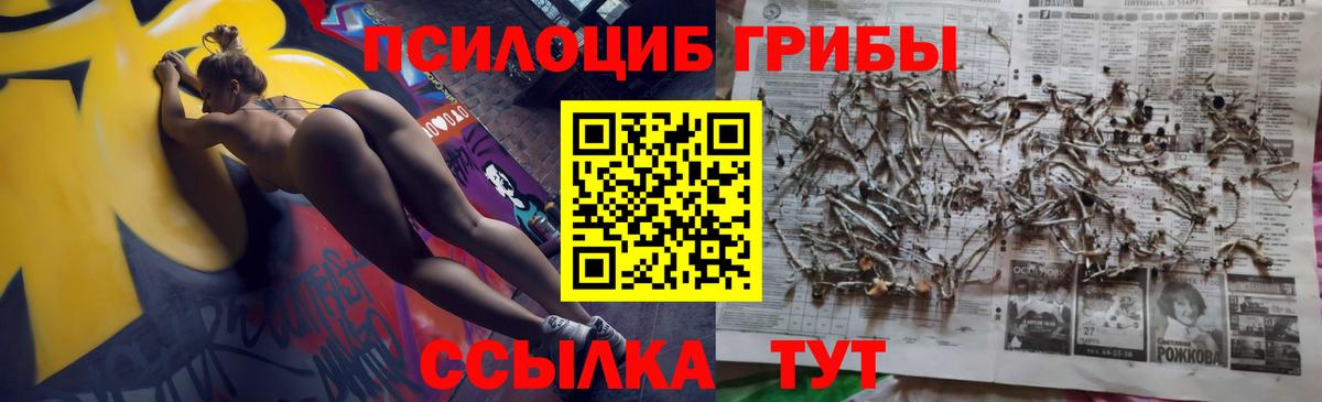 Галлюциногенные грибы Psilocybine cubensis  где можно купить   Торжок  Вход с VPN  Псилоцибиновые грибы ЛСД 